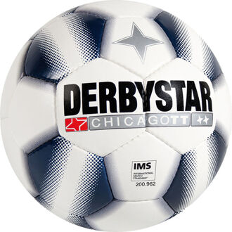 Derbystar Kunstgrasbal Chicago TT Wit / blauw - 4