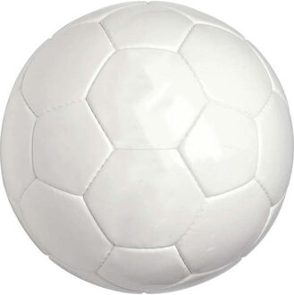Derbystar Voetbal Brillant TT Blanco Wit - 5