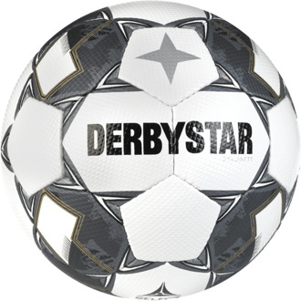 Derbystar Voetbal Brillant TT V24 Wit Silver 1064 Wit / Zilver - 5