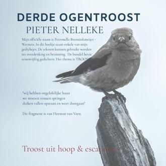 Derde Ogentroost -  Pieter Nelleke (ISBN: 9789403738413)