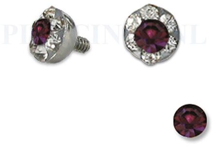 Dermal balletje 4 mm paars met meerdere kristallen