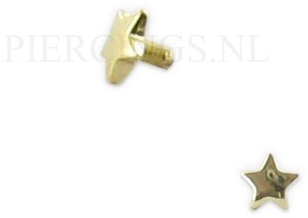 Dermal goud 14 karaat ster