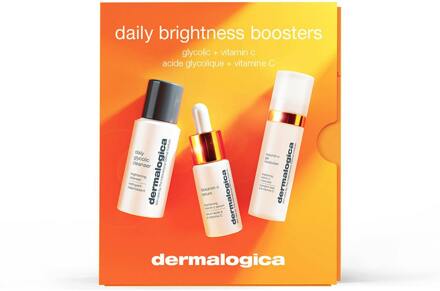 Dermalogica Geschenkset Dermalogica Daily Brightness Booster Skin Kit 10 ml + 15 ml + 30 ml