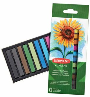 Derwent Pastelkrijt Derwent Academy zacht blister a 12 stuks assorti Zwart