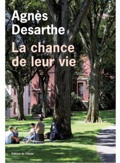 Desarthe, A: Chance de leur vie