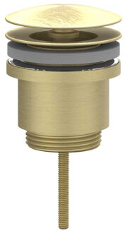 Design Afvoerplug IVY Always Open Geborsteld Mat Goud PVD