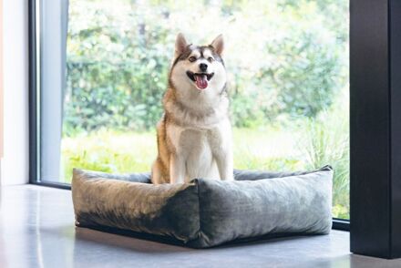 Designed by Lotte  Yndis - Hondenmand - Bouclé - Groen - 80x70x22 cm - Middel