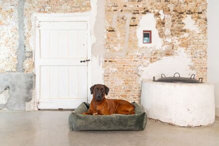 Designed by Lotte  Yndis - Hondenmand - Bouclé - Groen - 95x80x25 cm - Groot