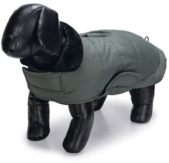 Designed By Lotte Zhanti - Hondenjas - 68 cm - Groen - Extra large