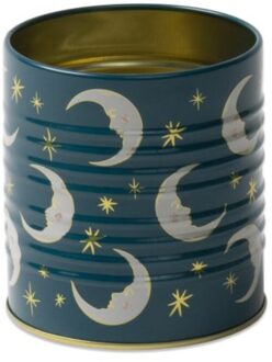 Designworks ink opbergblik/pennenhouder - maan