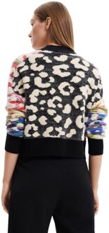 Desigual Dames Multikleuren Breigoed Veelkleurig