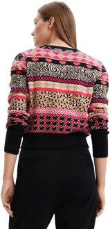 Desigual Dames Tricot in Multicolor Veelkleurig