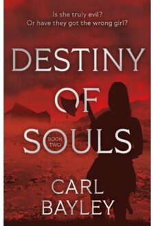 Destiny Of Souls - The Souls Series - Carl Bayley