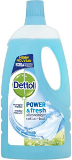 Dettol Allesreiniger Oceaanfris 1 L