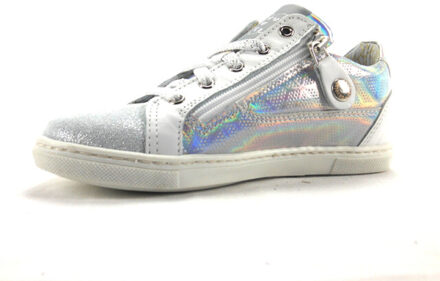 Develab 41336 Zilver - 29