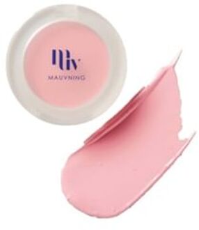 Dewy Pale Cream Cheek - 4 Colors #02 Pale Blush