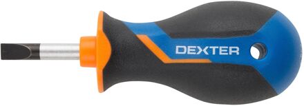 Dexter Schroevendraaier - Sleuf Sl5.5 - 25mm - Magnetisch