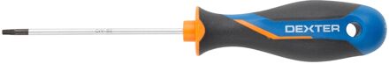 Dexter Torx Schroevendraaier - T10 - 80mm - Magnetisch
