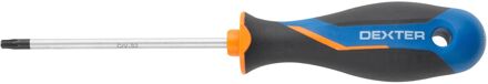 Dexter Torx Schroevendraaier - T25 - 100mm - Magnetisch