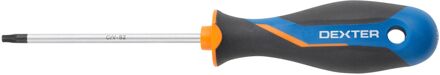 Dexter Torx Schroevendraaier - T25 - 100mm - Magnetisch