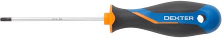 Dexter Torx Schroevendraaier - Torx T20 - 100mm - Magnetisch