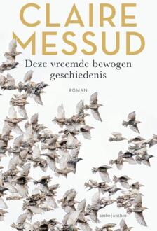 Deze vreemde bewogen geschiedenis -  Claire Messud (ISBN: 9789026366185)