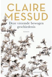 Deze Vreemde Bewogen Geschiedenis - Claire Messud