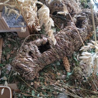 Deze Zijn De Leukste Little Bird Huizen! De Groene Is Helder, En Het Huis Zelf Is Stevig.