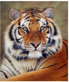 Diamant Borduurwerk Tijger Mozaïek 5D Diamant Schilderij Gedeeltelijke Ronde Diamant Kruissteek Handwerken Diy Dier Schilderen Craft