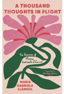 Diaries - Llansol, Maria Gabriela