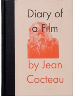 Diary Of A Film