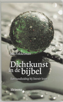 Dichtkunst in de bijbel - Boek J. Fokkelman (9021136937)