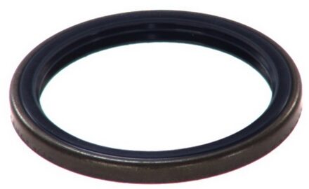 Dichtring, fuseelager 12015147B