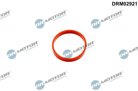 Dichtring, laadluchtslang DRM02921