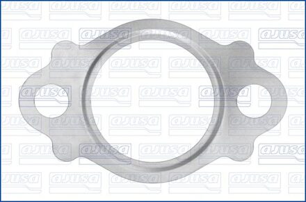 Dichtring, leiding EGR-klep 01752200