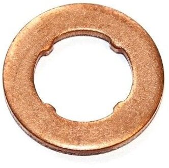 Dichtring, Verstuiver/Injector 189130