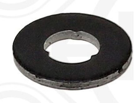 Dichtring, Verstuiver/Injector 489953