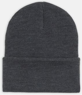 Dickies Acrylaat Opgerolde Unisex Volwassenen Grijze Beanie Hoed Houtskool