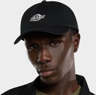 Dickies Dad Baseball Cap, zwart - One Size