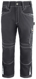 Dickies Eisenhower Extreme Werkbroek Heren Grijs