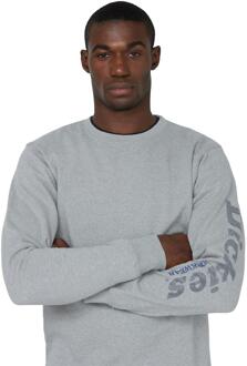 Dickies Grafisch Sweatshirt - maat XL Grijs