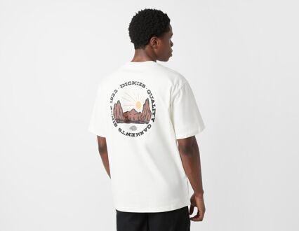 Dickies Outdoor T-Shirt, wit - XL