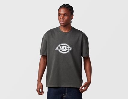 Dickies Plainville T-Shirt, grijs - L