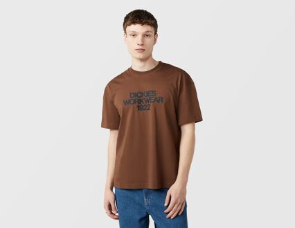 Dickies Torrey T-Shirt, bruin - S