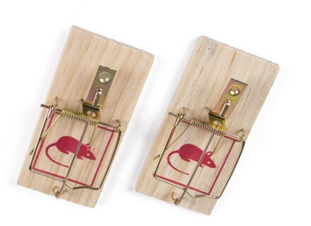 Did 2x Houten muizenvallen/muizenklemmen ongedierte bestrijding
