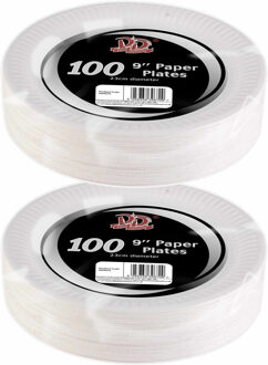 Did Feestbordjes/gebaksbordjes karton - 200x - wit - rond - papieren bordjes