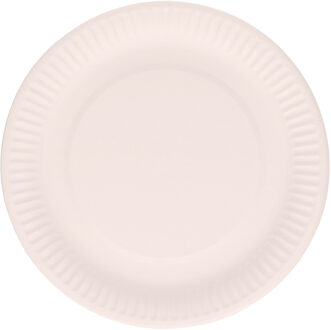 Did Wegwerpbordjes - karton - 100x stuks - rond - 23 cm - wit