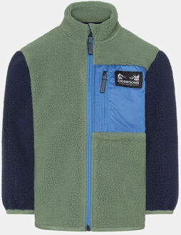 DIDRIKSONS Anten Full Zip Fleecevest Junior Groen - 140
