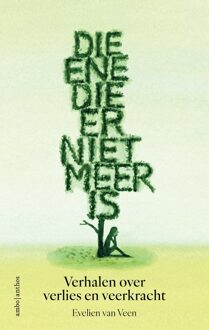 Die ene die er niet meer is - Evelien van Veen - ebook