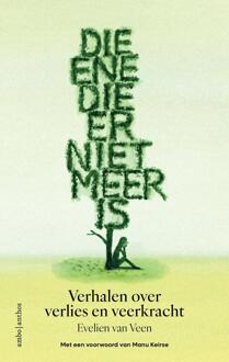 Die ene die er niet meer is -  Evelien van Veen (ISBN: 9789026371080)